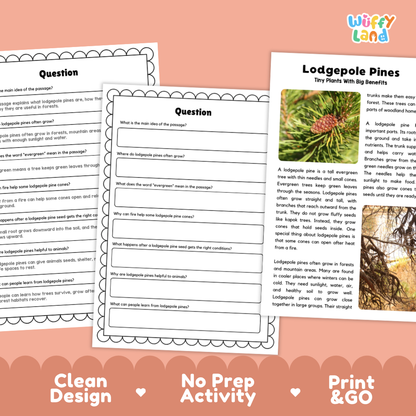 Lodgepole Pine Plant Reading Passages Worksheets and Comprehension Activity