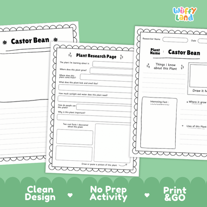Castor Bean Plant Research Page Worksheets and Fact Sheet