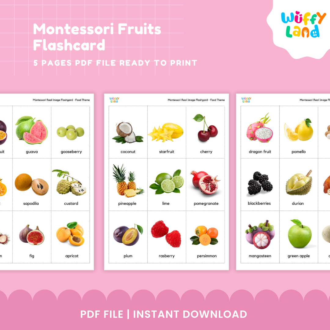 Montessori Fruits Flashcard