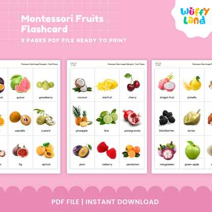 Montessori Fruits Flashcard