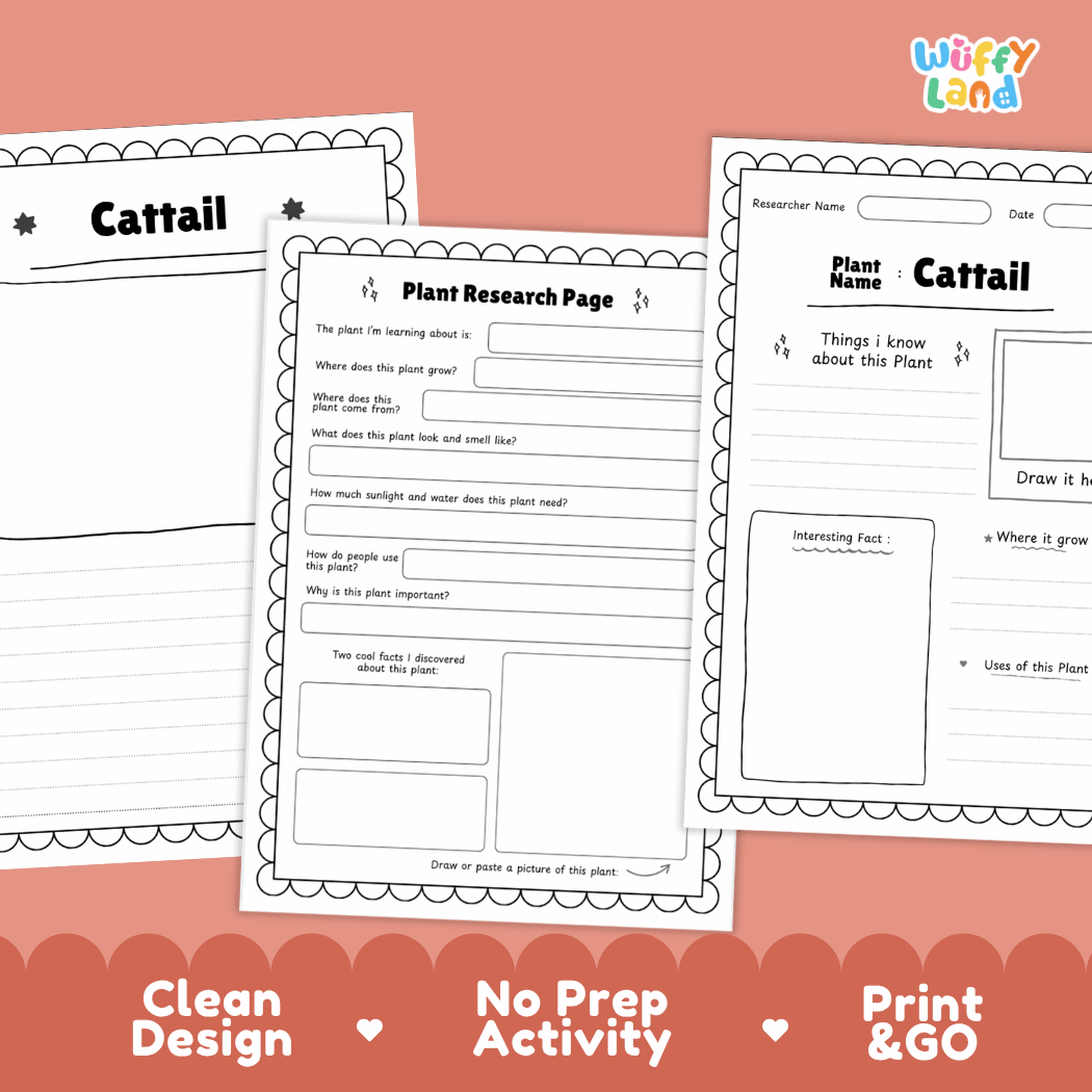 Cattail Plant Research Page Worksheets and Fact Sheet
