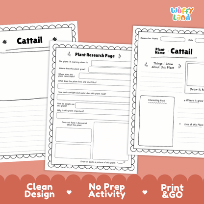 Cattail Plant Research Page Worksheets and Fact Sheet