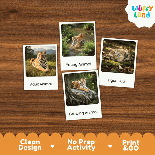 Tiger Life Cycle Montessori 3-Part Cards - Science Zoology Mammal Flashcards