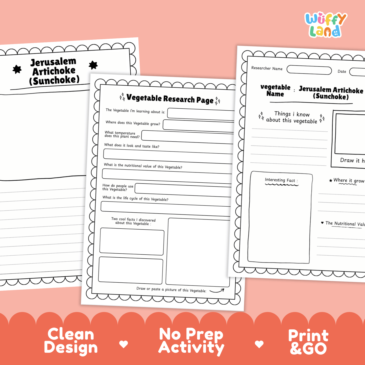Jerusalem Artichoke Sunchoke Vegetable Research Activity Worksheet Science
