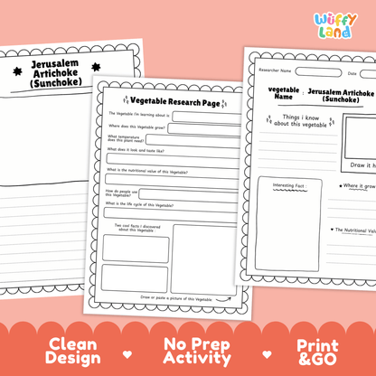 Jerusalem Artichoke Sunchoke Vegetable Research Activity Worksheet Science