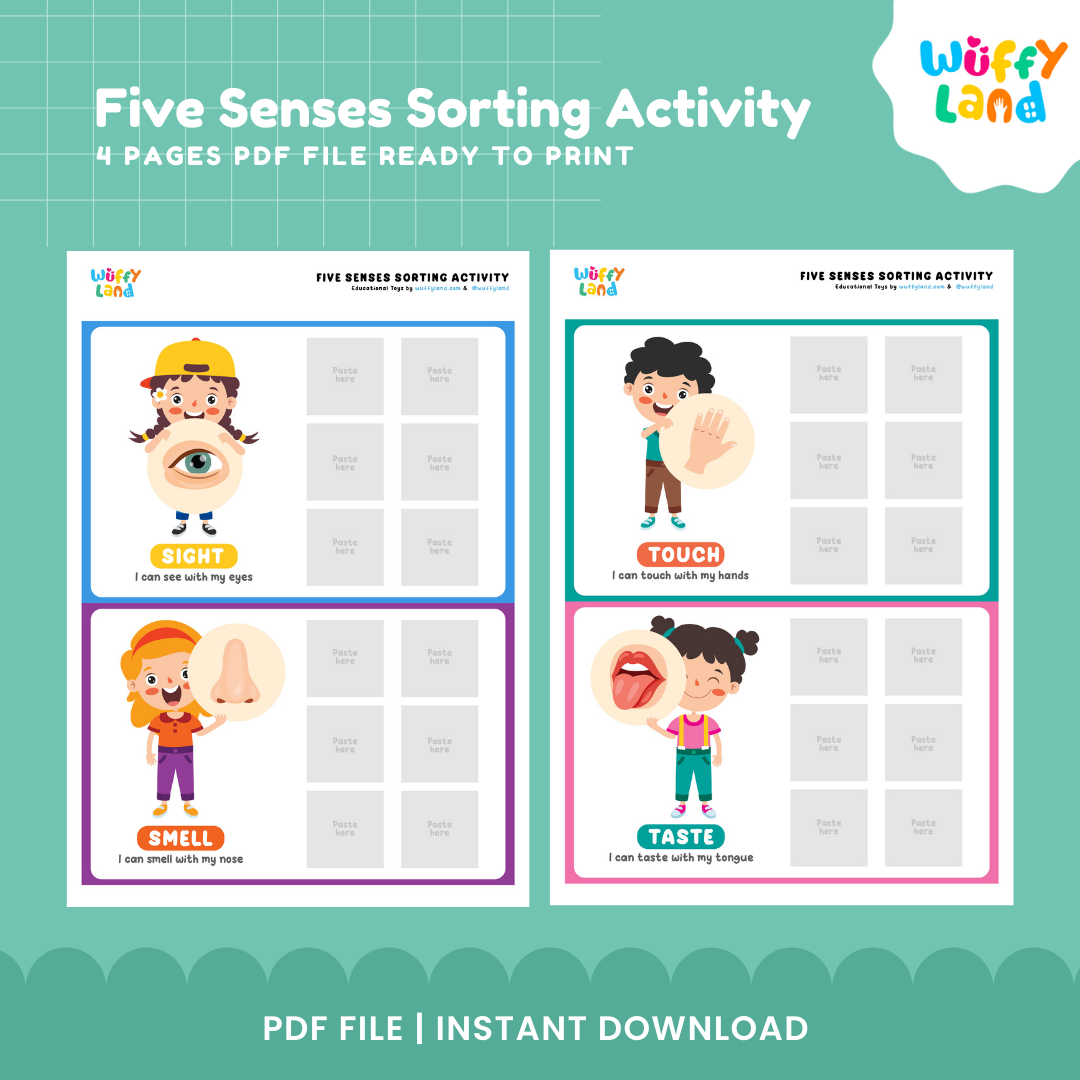 Five Senses Sorting Activity