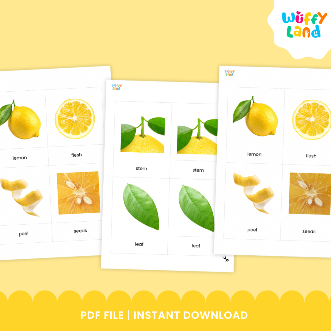 Kartu 3 Bagian Montessori Anatomi Buah Lemon untuk Kosakata Sains