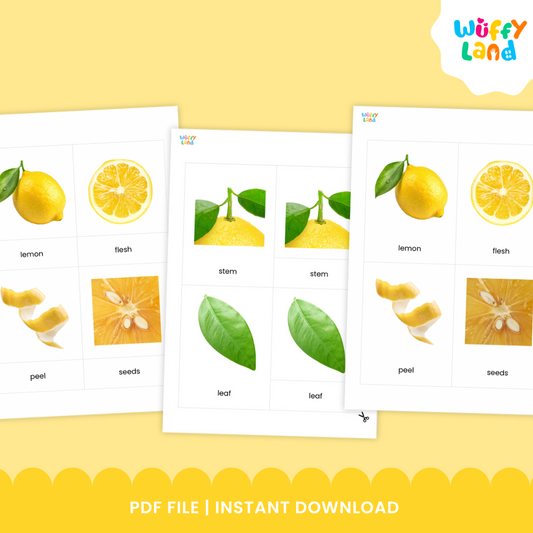 Kartu 3 Bagian Montessori Anatomi Buah Lemon untuk Kosakata Sains
