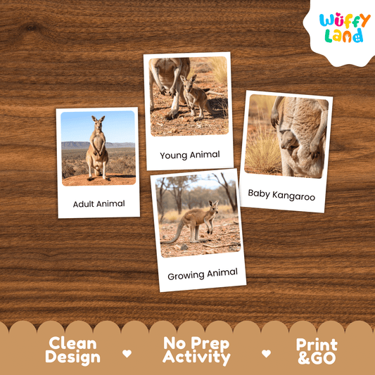 Kangaroo Life Cycle Montessori 3-Part Cards Science Zoology Marsupial Flashcards