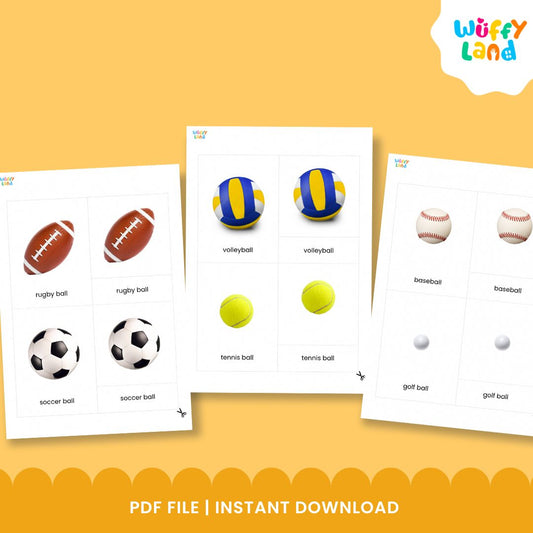 Kartu Sport Ball Montessori 3 Bagian dengan Gambar Asli
