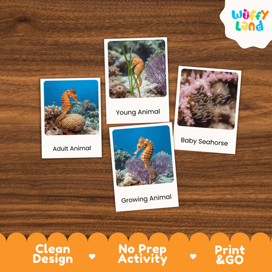 Seahorse Life Cycle Montessori 3-Part Cards - Science Zoology Marine Flashcards