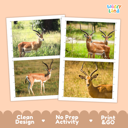 Two printed safari photo cards featuring antelope and gazelle wildlife scenes, shown on a peach background with the brand name 'Wiffy Land' and marketing text 'Clean Design', 'No Prep Activity', and 'Print & GO'.