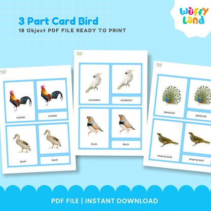 Kartu 3 Bagian Montessori Seri Burung Zoologi 