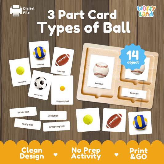 3 Part Card Types of Ball printable Montessori nomenclature and sports vocabulary activity pack overview from Wuffy Land featuring 14 objects ⚽⚾