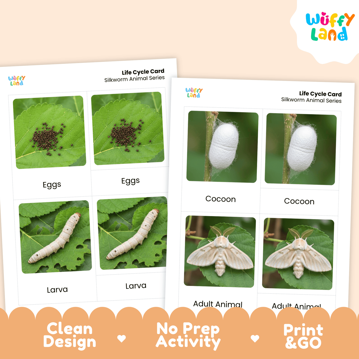 Silkworm Life Cycle Montessori 3-Part Cards - Science Zoology Flashcards
