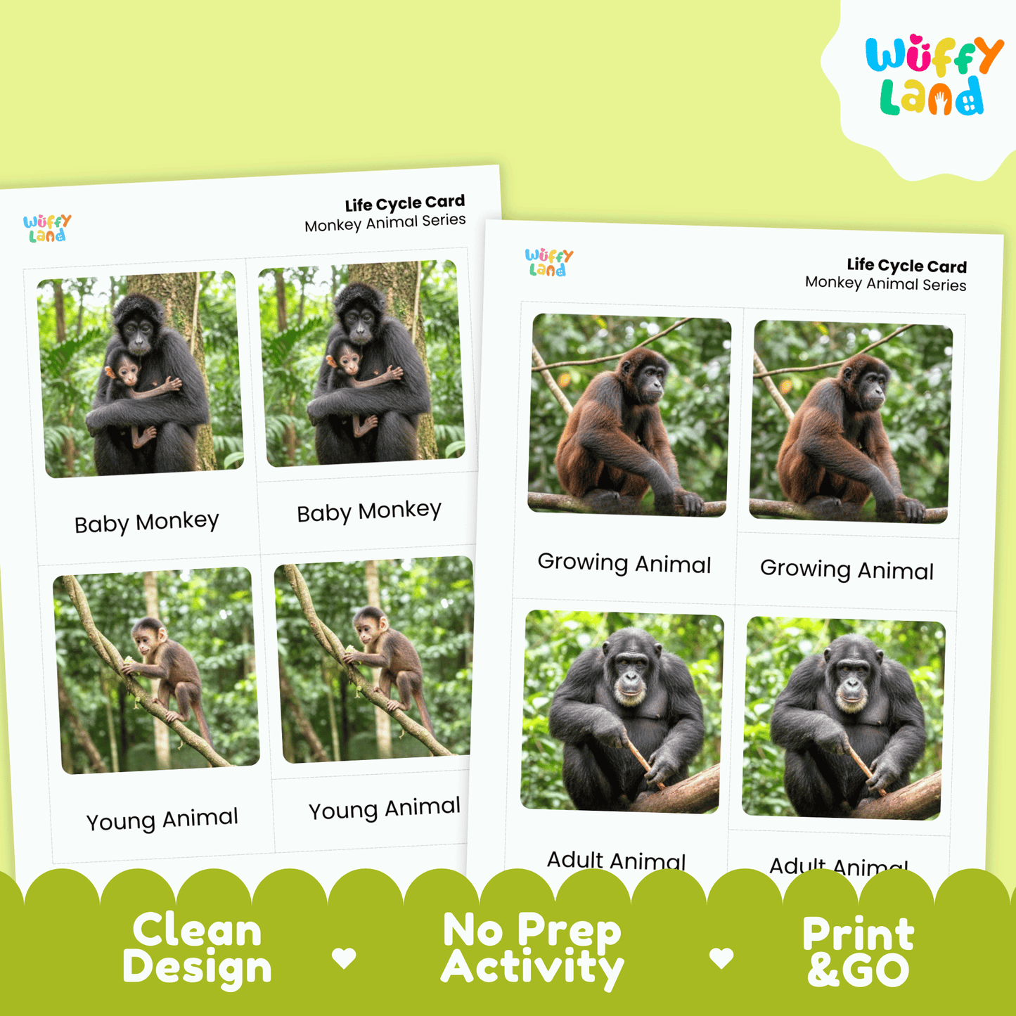 Monkey Life Cycle Montessori 3-Part Cards - Science Zoology Mammal Flashcards