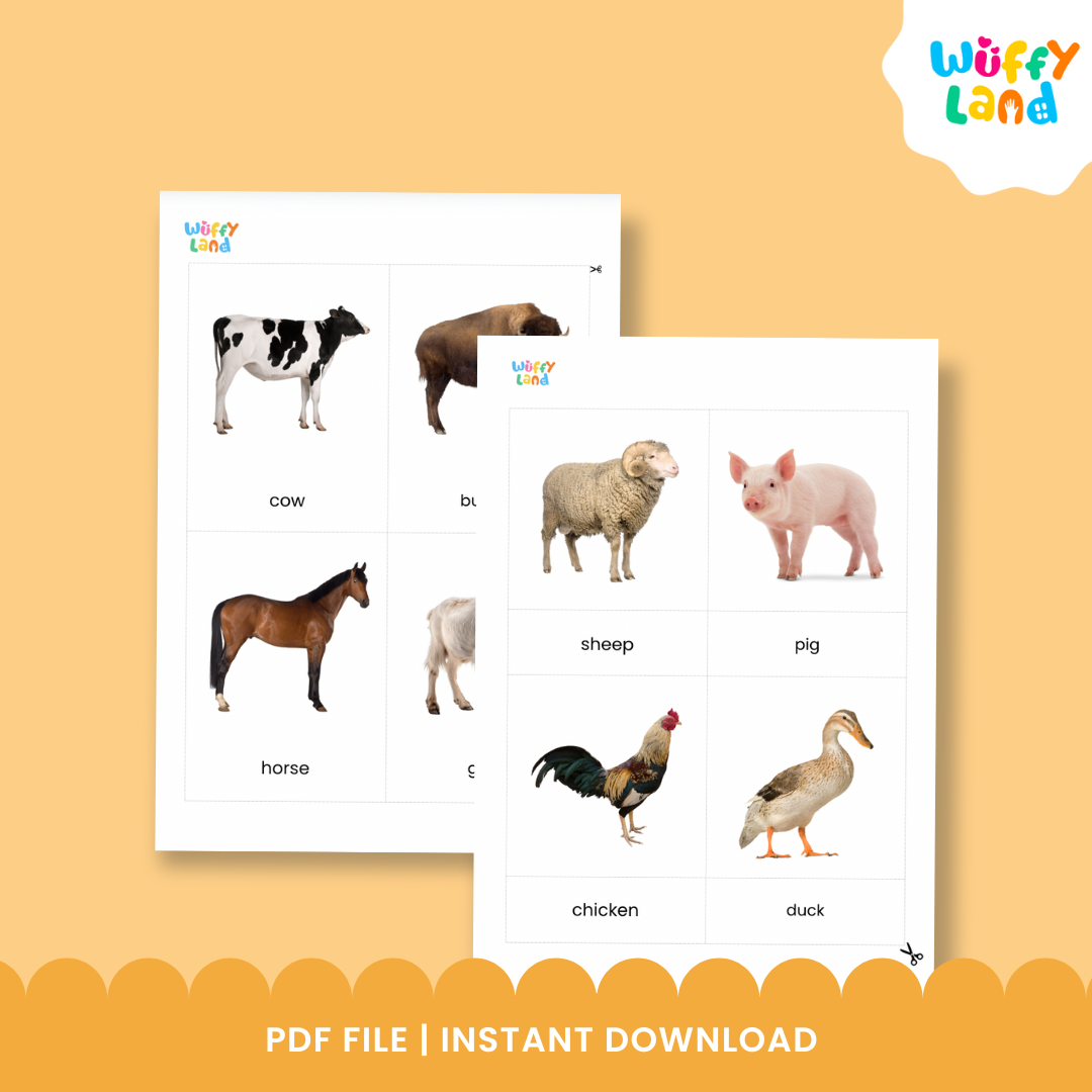 Kartu Flash Kosakata Hewan Ternak Kartu Foto Gambar Montessori Kartu 3 Bagian