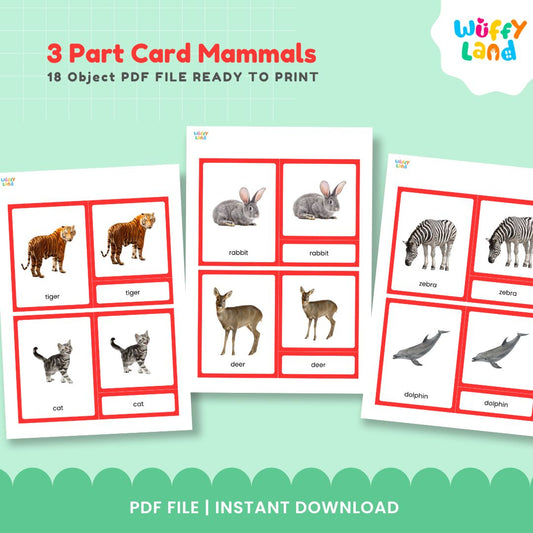 Jenis-jenis Mamalia MONTESSORI 3 bagian kartu GAMBAR NYATA 