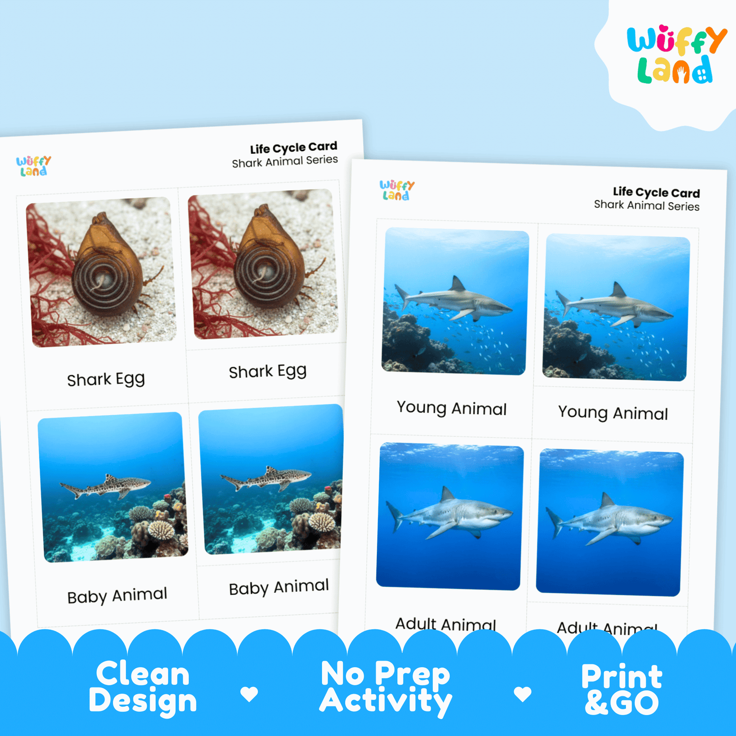 Shark Life Cycle Montessori 3-Part Cards - Science Zoology Marine Flashcards