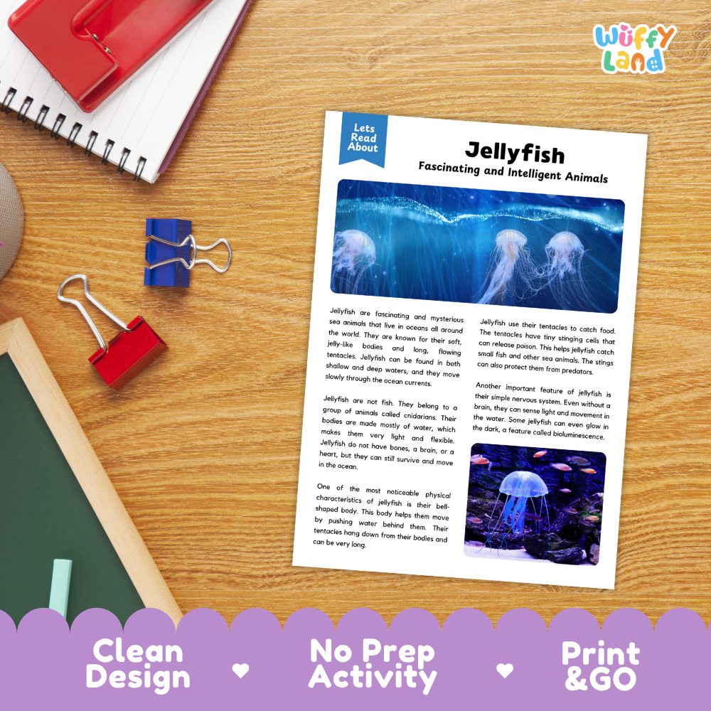 Jellyfish Reading Passage and Comprehension Questions Worksheets