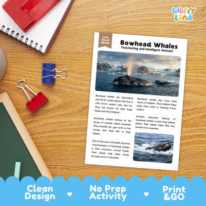 Bowhead Whale Reading Passage and Comprehension Questions Worksheets