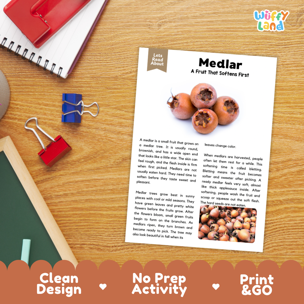 Student reading comprehension worksheet with short-answer questions and lined sections about the medlar fruit