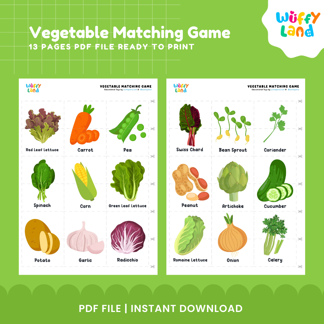 Vegetable Matching Game