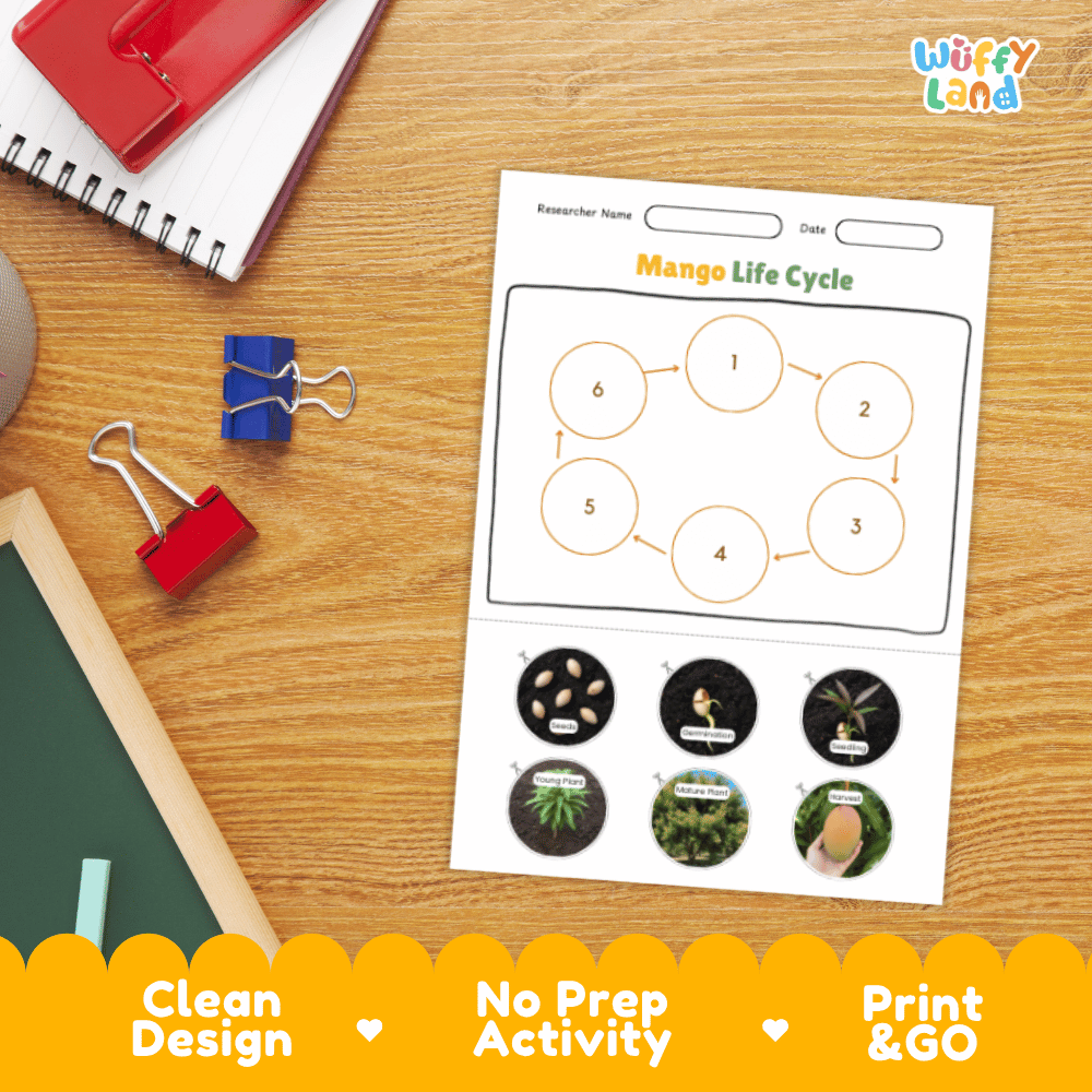 Mango Lifecycle Poster and Cut and Paste Activity Worksheets | Plant Science Printables