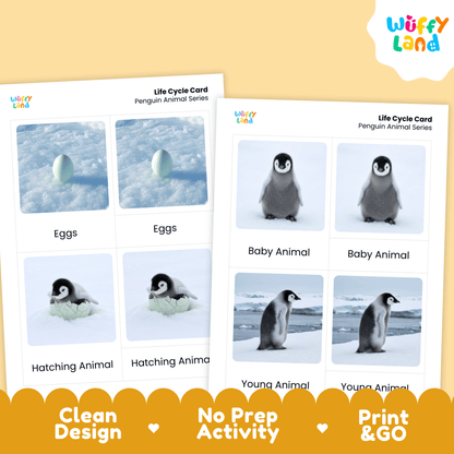 Penguin Life Cycle Montessori 3-Part Cards - Science Zoology Flashcards