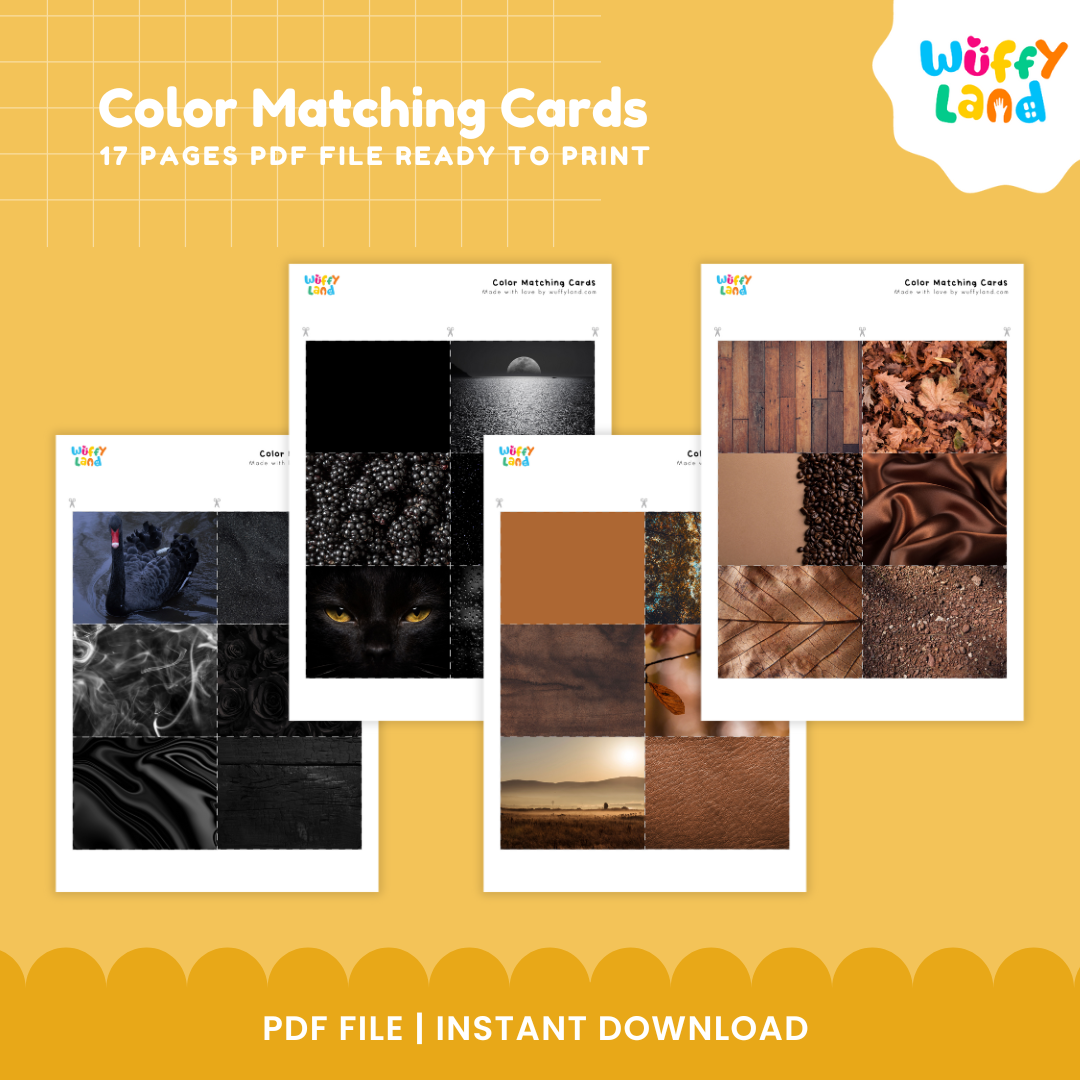 Color Matching Cards