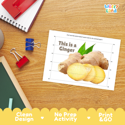 Ginger Cut and Match Activity Printable Set