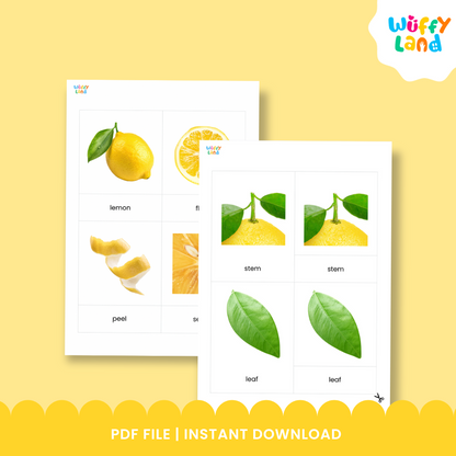 Kartu 3 Bagian Montessori Anatomi Buah Lemon untuk Kosakata Sains