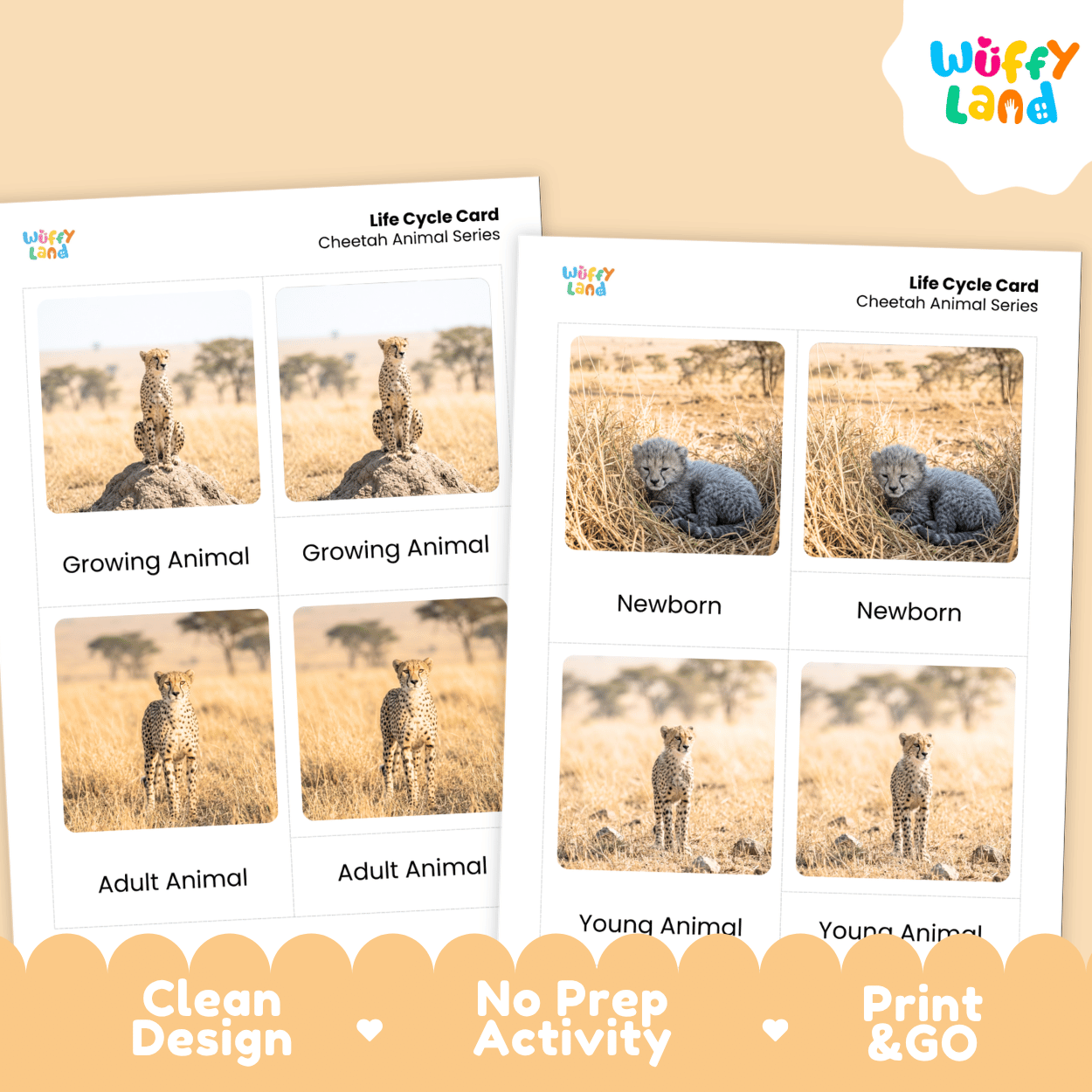 Cheetah Life Cycle Flashcards | Montessori 3 Part Cards Mammal Activity