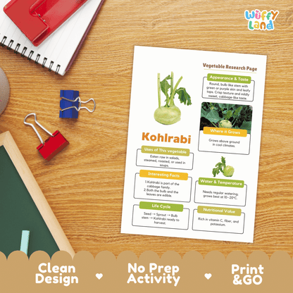 Kohlrabi Vegetable Research Page | Science Life Cycle & Nutrition Worksheet