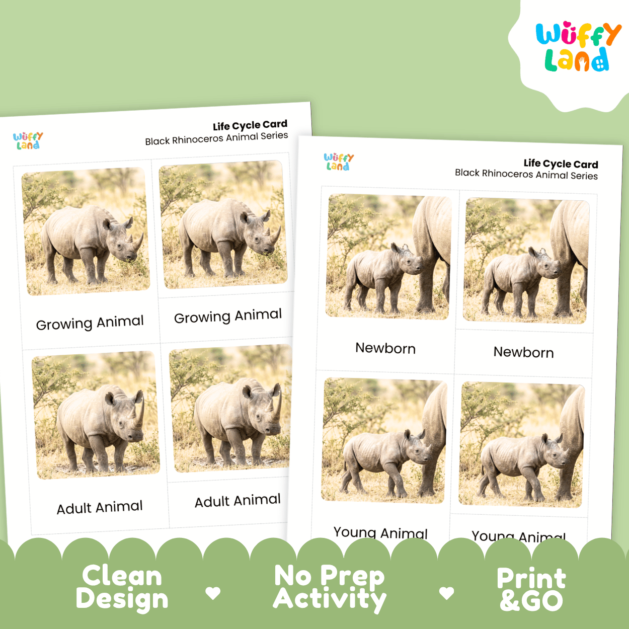Black Rhinoceros Life Cycle Flashcards | Montessori 3 Part Cards Mammal Activity