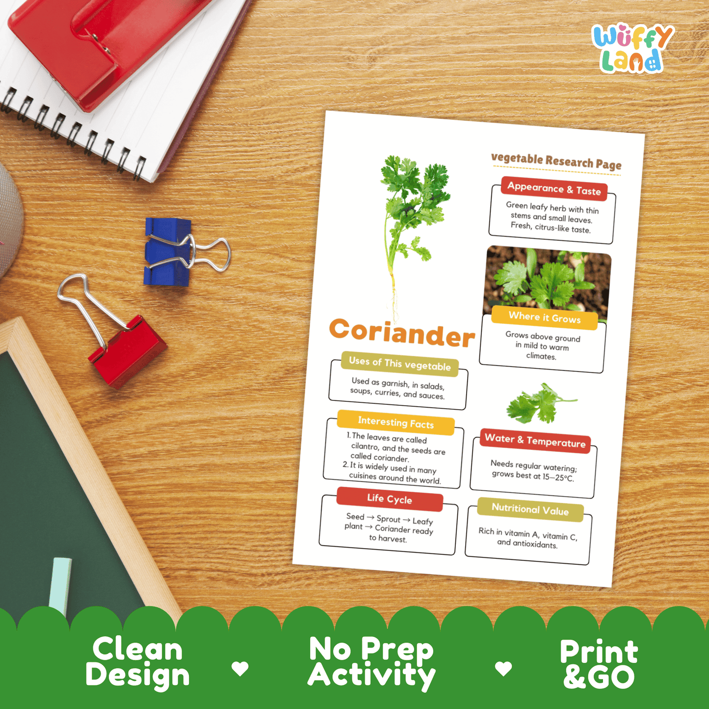 Coriander Research Activity Vegetable Science Worksheet Herb Garden Cilantro