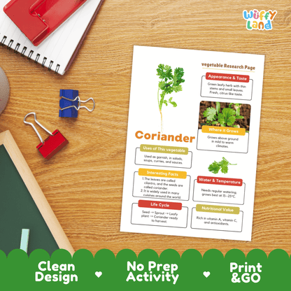 Coriander Research Activity Vegetable Science Worksheet Herb Garden Cilantro