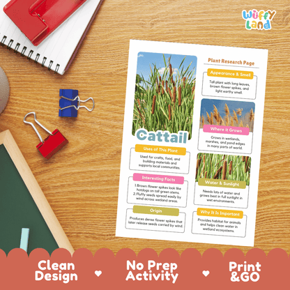 Cattail Plant Research Page Worksheets and Fact Sheet