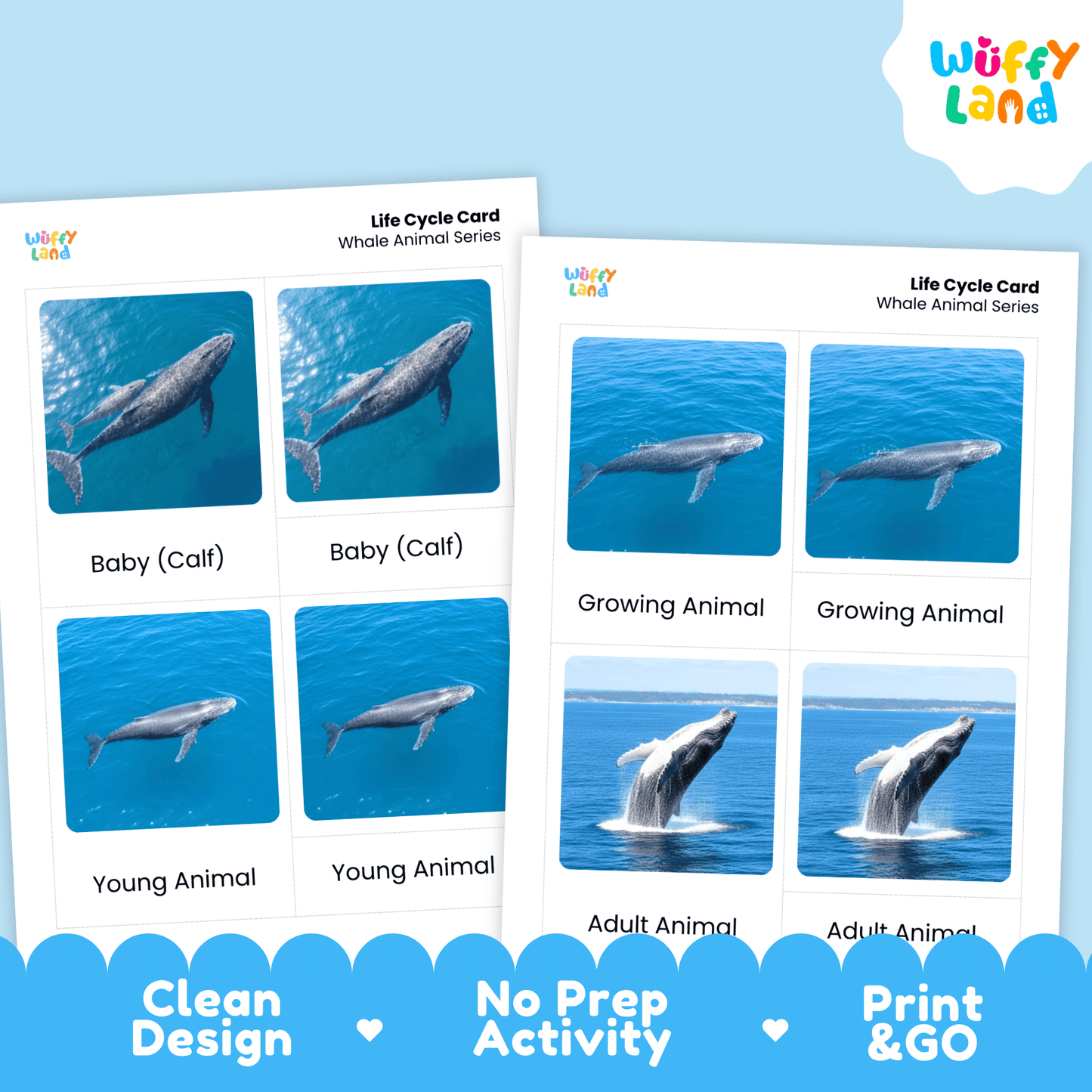 Whale Life Cycle Montessori 3-Part Cards - Science Zoology Flashcards