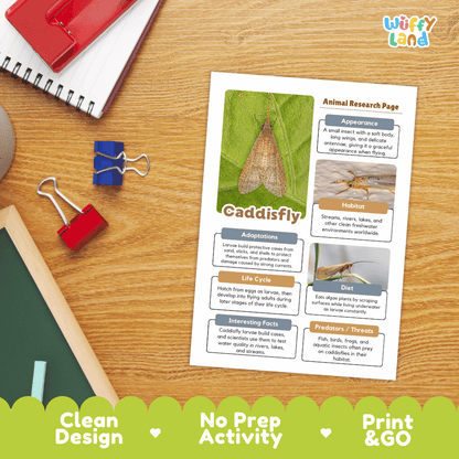 CaddisFly Animal Research Page and Worksheets