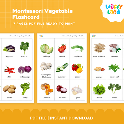 Montessori Vegetable Flashcard