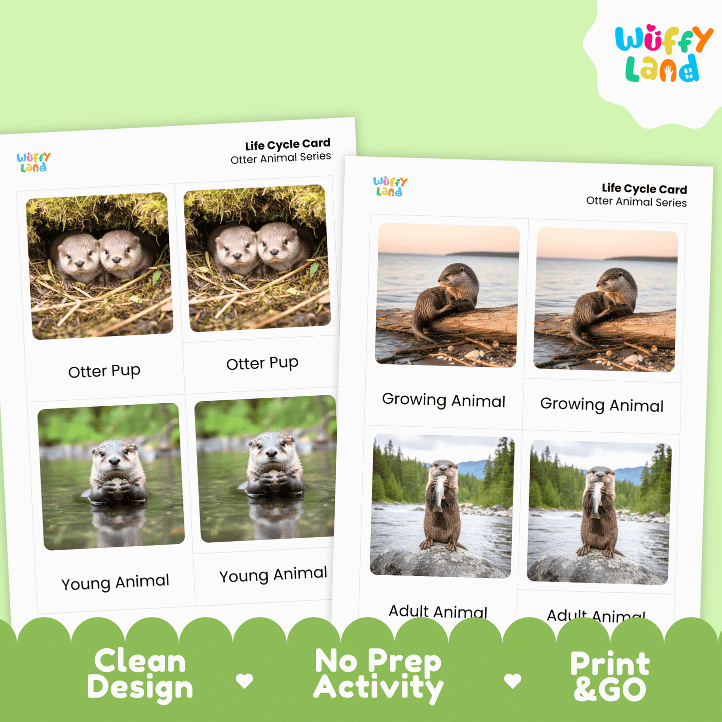 Otter Life Cycle Montessori 3-Part Cards - Science Zoology Mammal Flashcards