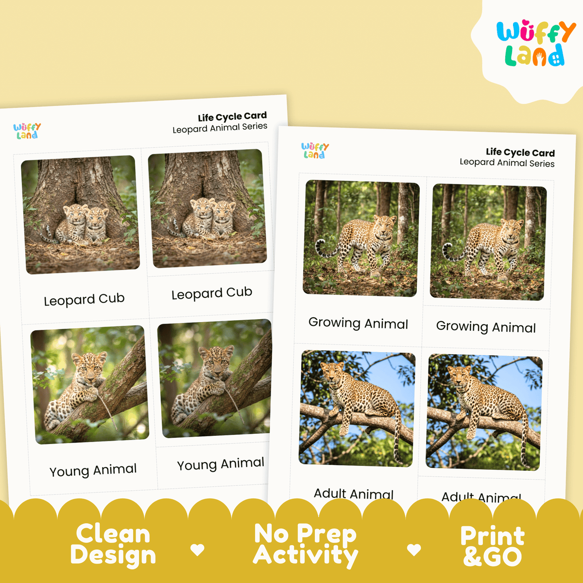 Leopard Life Cycle Montessori 3-Part Cards - Science Zoology Mammal Flashcards