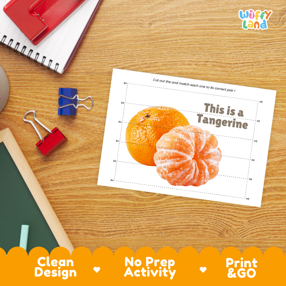 Tangerine Cut and Match Activity Printable Set