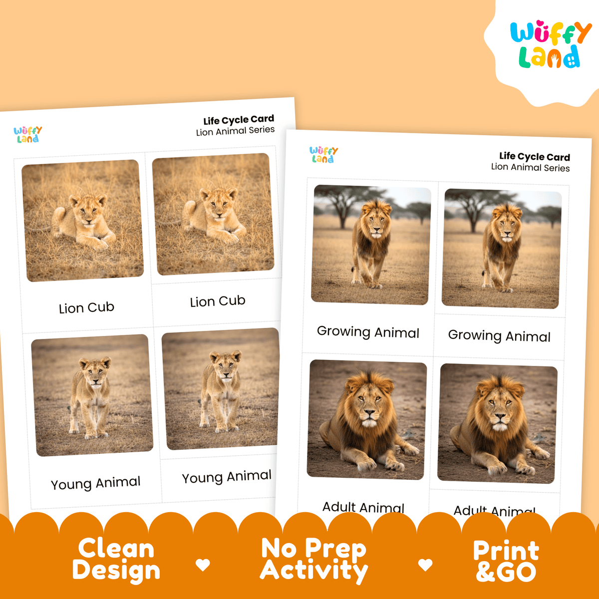 Lion Life Cycle Montessori 3-Part Cards - Science Zoology Mammal Flashcards