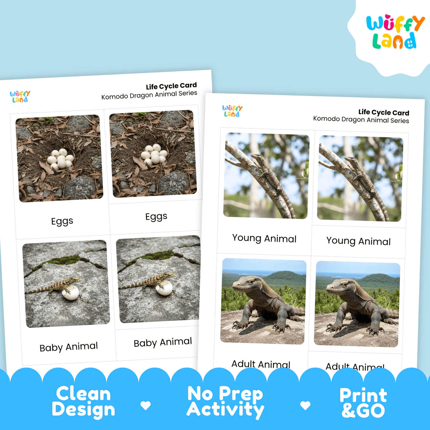 Komodo Dragon Life Cycle Montessori 3-Part Cards - Science Zoology Reptile
