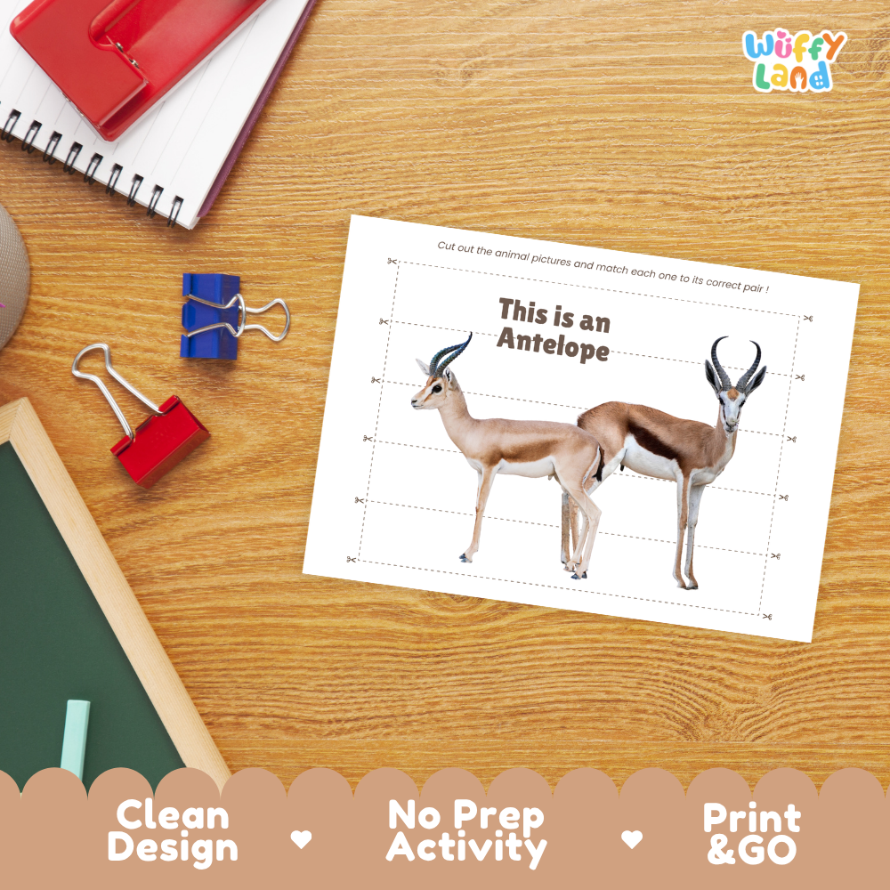 An educational printout featuring two antelopes on a wooden desk, surrounded by school supplies like a spiral notebook, binder clips, chalkboard, and eraser. The print has the 'Wiffy Land' logo in the top right corner, and a banner at the bottom highlights 'Clean Design', 'No Prep Activity', and 'Print & GO'.