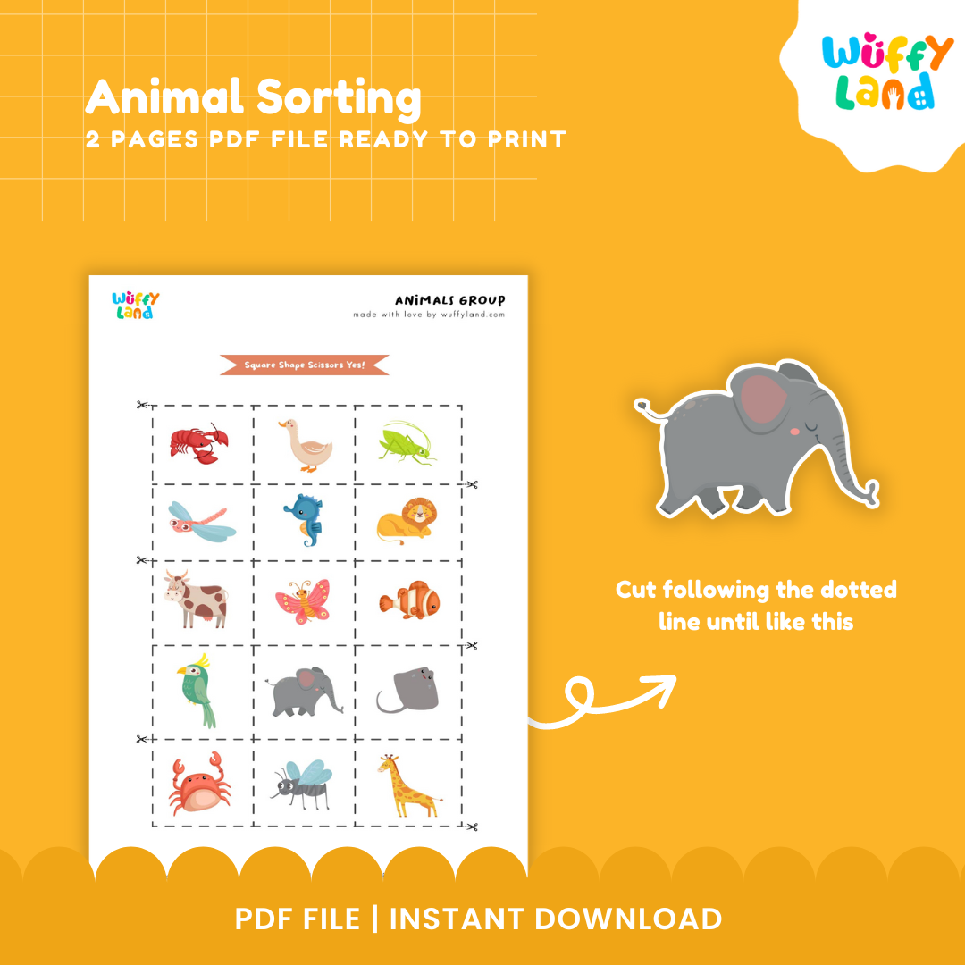 Animal Sorting (Air, water and land)