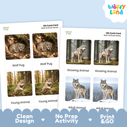 Wolf Life Cycle Montessori 3-Part Cards - Science Zoology Mammal Flashcards
