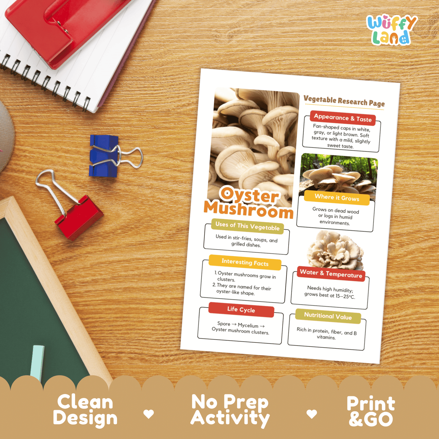 Oyster Mushroom Vegetable Research Activity Worksheet Healthy Eating Science